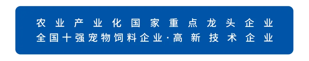 华兴宠物
