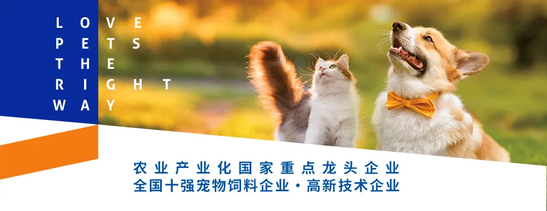 华兴宠物