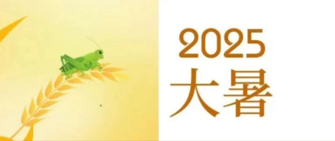 华兴宠物
