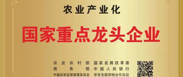 华兴宠物
